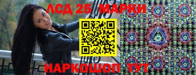 гашик Можга