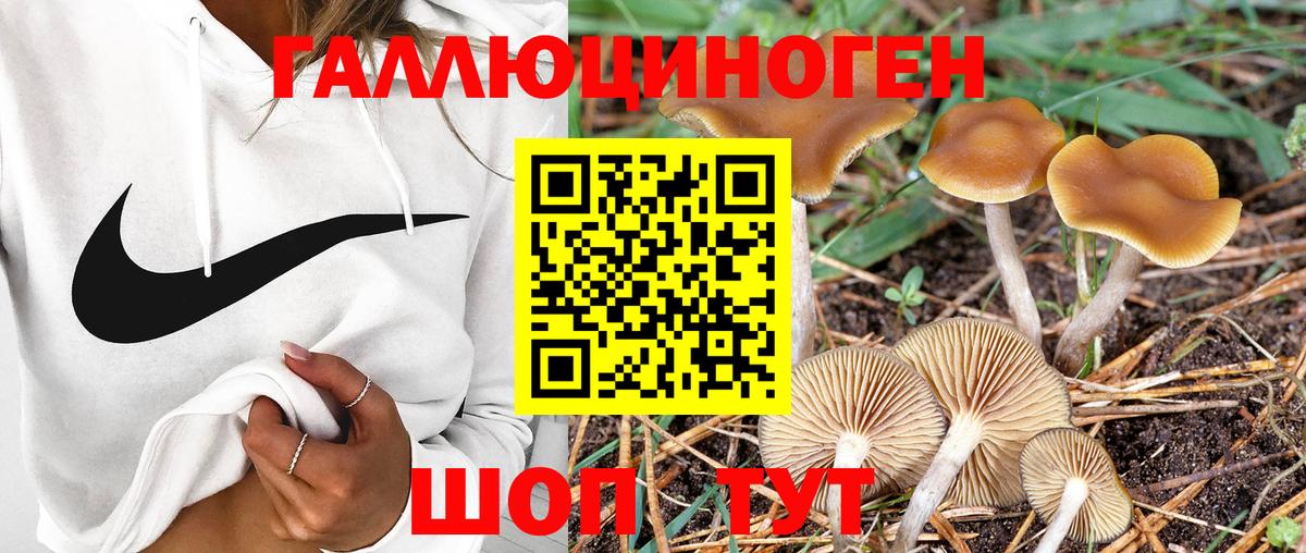 Псилоцибиновые грибы MAGIC MUSHROOMS  Вход с VPN  Псилоцибиновые грибы ЛСД  Дагестанские Огни 